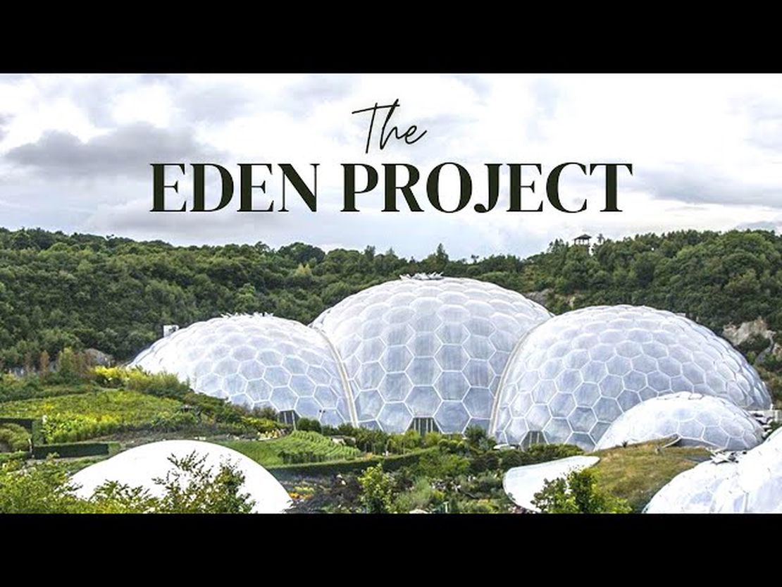 Exploring Biomorphic Architecture: Merging Nature with Modern Technology